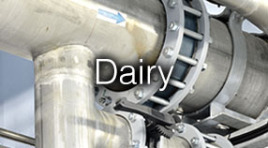 Dairy